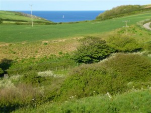 View from The Bothy